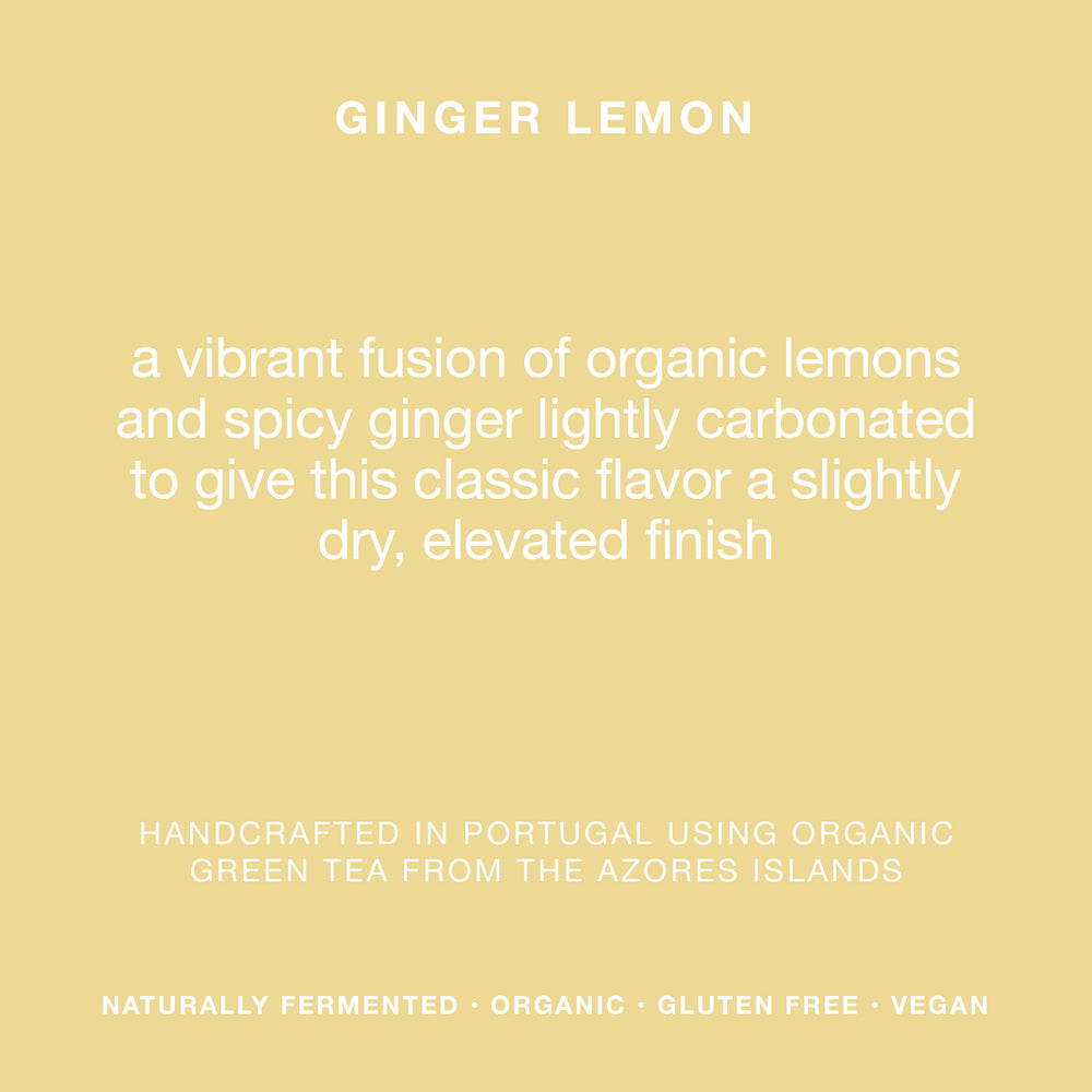 
                  
                    Load image into Gallery viewer, GINGER LEMON • 6 x 330ML • 6% ALC
                  
                
