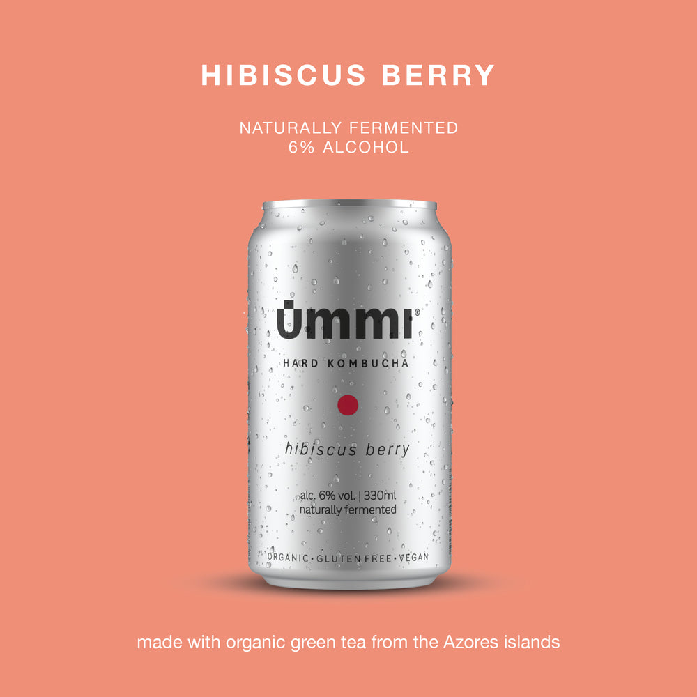 
                  
                    Load image into Gallery viewer, HIBISCUS BERRY • 6 x 330ML • 6% ALC
                  
                