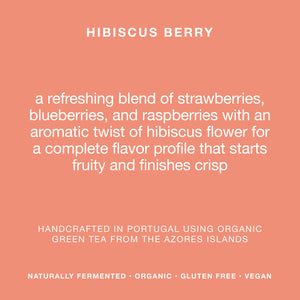 
                  
                    Load image into Gallery viewer, HIBISCUS BERRY • 6 x 330ML • 6% ALC
                  
                